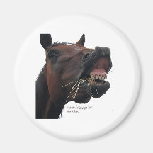 Horse: Hay! Magnets