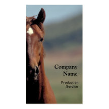 Horse head business card