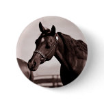 Horse Head & Shoulders Sepia Chocolate Pins