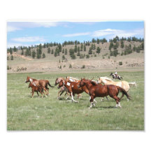 Horse Herd and Cowboy Art Photo