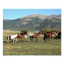 Horse Herd in the Rockies Photographic Print