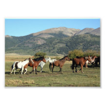 Horse Herd in the Rockies Photographic Print