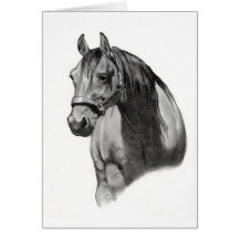 HORSE IN PENCIL CARD