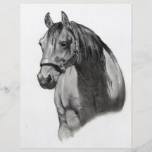 HORSE IN PENCIL FLYER DESIGN