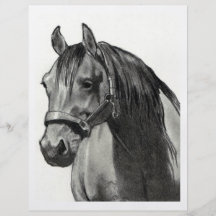HORSE IN PENCIL: FRONT VIEW PERSONALIZED FLYER