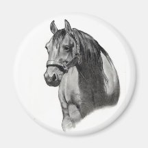 HORSE IN PENCIL MAGNETS