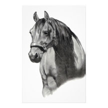 HORSE IN PENCIL STATIONERY PAPER
