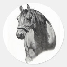 HORSE IN PENCIL STICKER