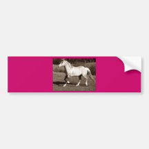 horse in sepia bumper stickers