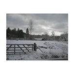 Horse in Snowy Field Post Cards