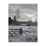 Horse in Snowy Field Post Cards