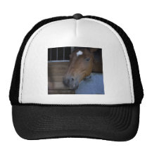 HORSE IN STABLE MESH HATS