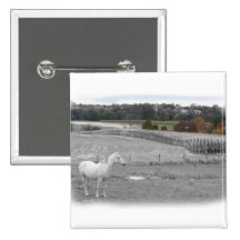 Horse in the Fall Pins