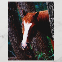 Horse in the forest personalized flyer
