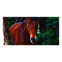 Horse in the forest photo card