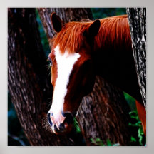 Horse in the forest poster