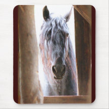 Horse In The Window Mousepads