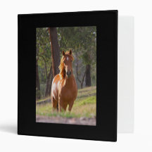 Horse In The Woods 3 Ring Binder