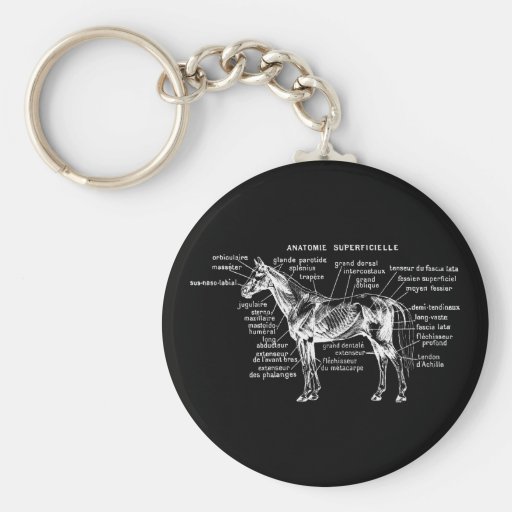 Horse Key Chain