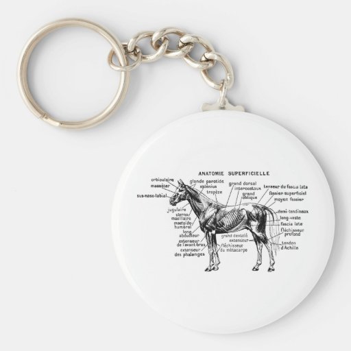 Horse Key Chains
