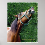 Horse Laugh  Poster