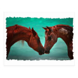 Horse Love Post Card