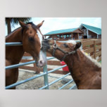 Horse Love Western Cowboy Horses Equestrian Poster