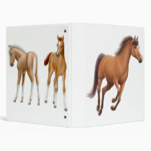 Horse Lovers Avery Binder