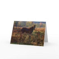 Horse Lovers Notecard