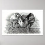 HORSE LOVERS PENCIL ART POSTER