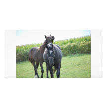 Horse Lovers Photo Card Template