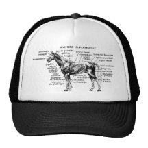 Horse Mesh Hat