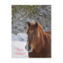 Horse & mistletoe Christmas postcard