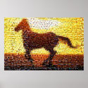 Horse montage mosaic collage posters