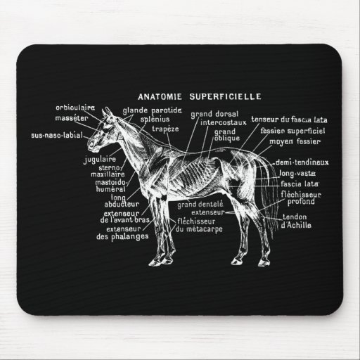 Horse Mouse Pads
