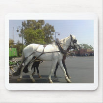 Horse Mousemats
