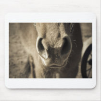 Horse Mouth Mouse Mats