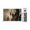 Horse Mouth postage