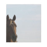 Horse Notpad Memo Pads
