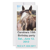 Horse nudge photo invite customized photo card