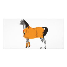 Horse on Holiday Picture Card