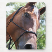 Horse Pad! Mouse Pad
