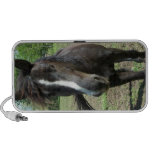 Horse Paint Doodle Speaker System
