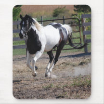 Horse/Paint Pinto Mouse Pad