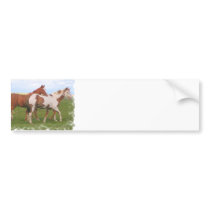 Horse Pair Bumper Stickers