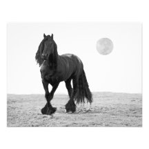 Horse perfect custom announcement