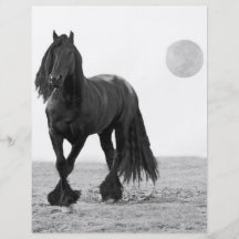 Horse perfect flyer design