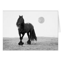 Horse perfect greeting card