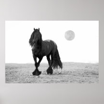 Horse perfect posters