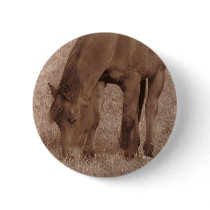 Horse Photograph in Sepia Pins